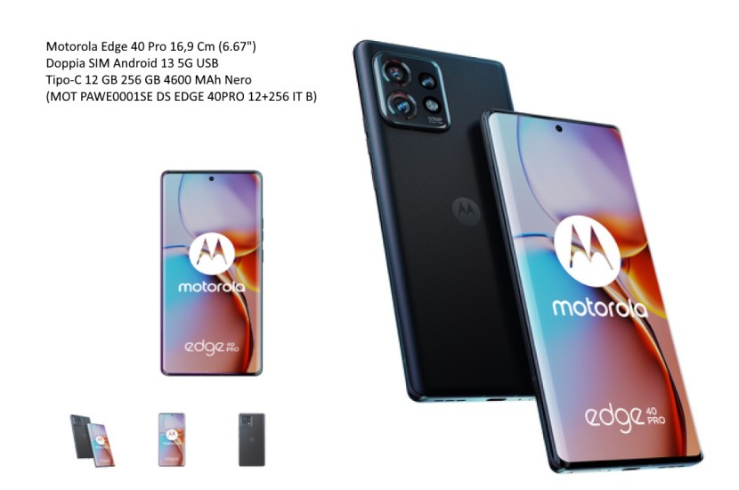 MOTOROLA